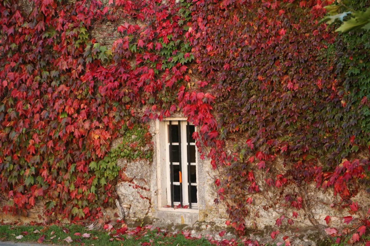 Chemin De Gargamelle Gite 'Mirabelle' Villa Ligueux  Exterior foto